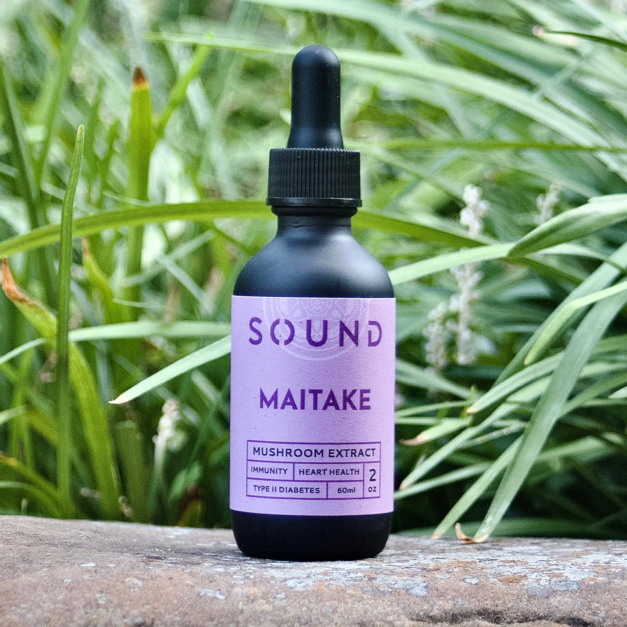 Sound Extractions: Maitake Mushroom Extract Healthcare Supplement Fitness Edible Dietary Organic