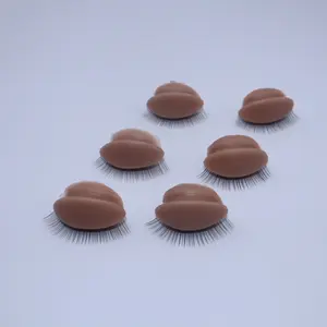 6 Replaceable Lash Eyelids