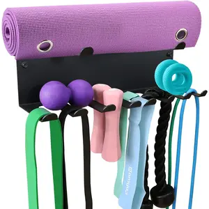2 Tier Multi-Purpose Heavy Duty Storage Rack for Resistance Bands, Straps, Jump Ropes, Foam Rollers, Chains, Weight Belts, Tools