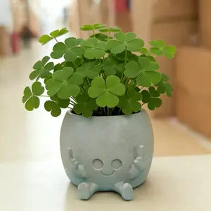 Large Head Small Person Flower Pot, Planting Tool, Grow Beautiful Flowers, Decorate Your Home, Gardening Accessory