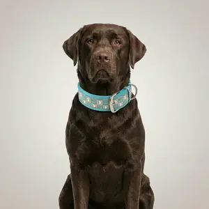 Vibrant Turquoise Dog Collar for Medium Large Dogs, Stylish High-Visibility Wide Padded Pet Collar with Reflective Stitching