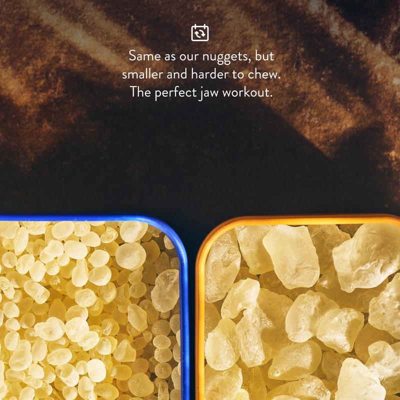 Greco Gum - Premium Mastic Gum Droplets - Hard Chewing Gum Promotes Jaw Exercise - Pure Mastic Resin with Piney Flavor - 1 Tin (45g)