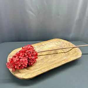 29" Dark Red Peegee Hydrangea Stem