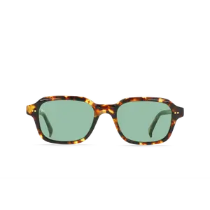 Rhyme-Scout Tortoise / Moonmist-51