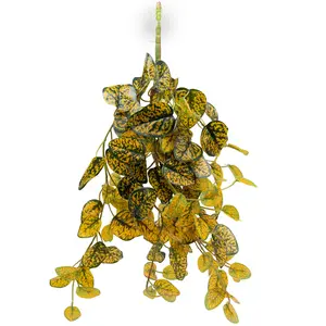 Hanging Bush for Reptiles - Japanese Laurel