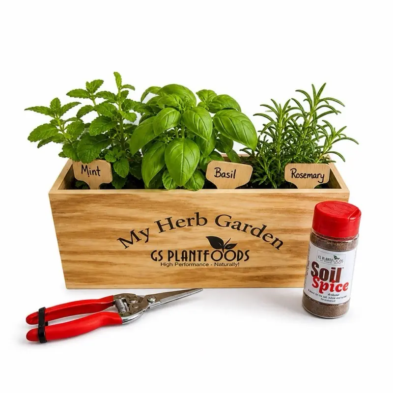 Herb Garden Starter Kit – Planter, Tools & Organic Plant Food