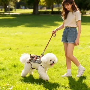 New cross-border pet harness, with handle, suitable for small and medium-sized dogs, anti-escape, anti-bite, spiked dog vest