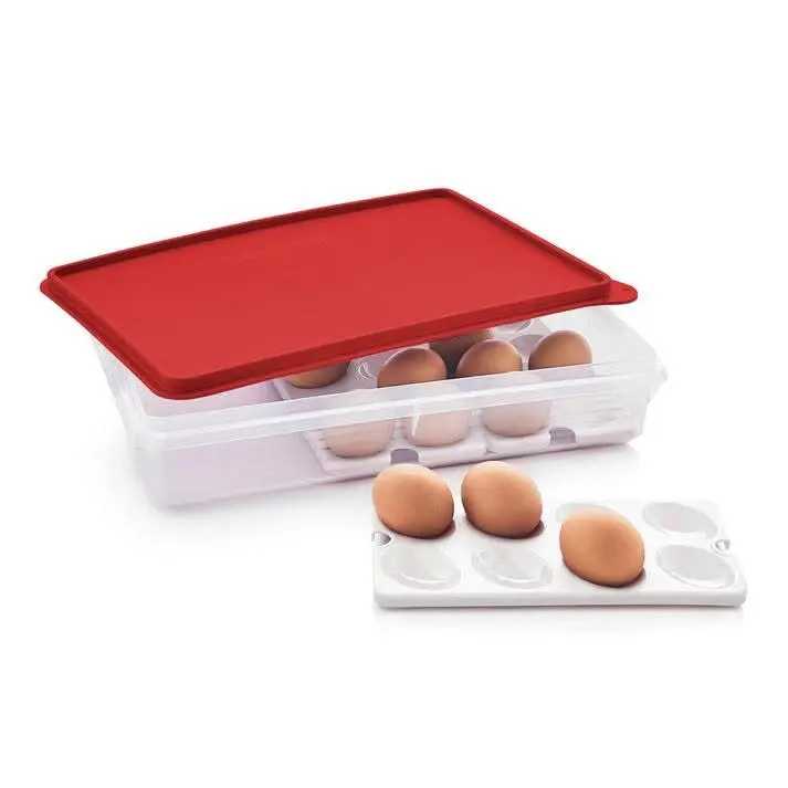 Snack N Store Large Container with Detachable Egg Inserts Kitchen Food Storage