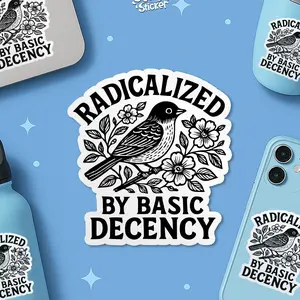 Radicalized by Basic Decency Sticker, Protest Liberal Leftist Democracy Vinyl Decal, Human Rights Waterproof Sticker, Democrats Gift