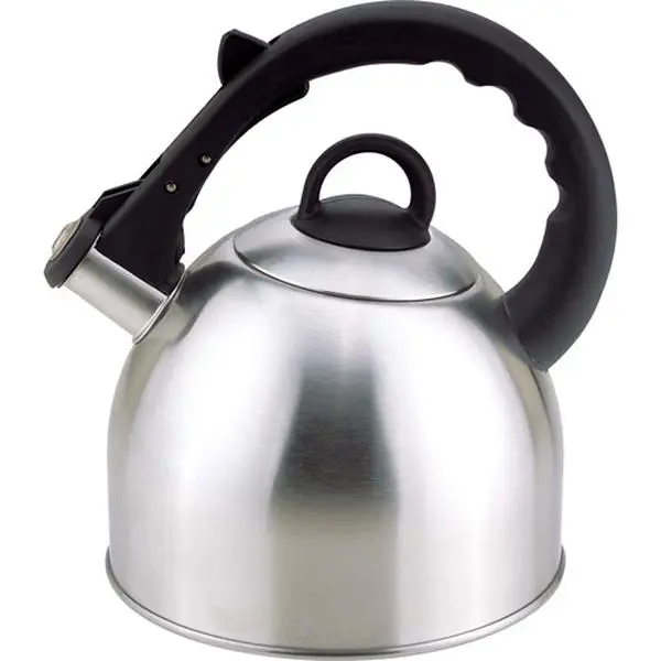 Fntinc 50402 2.5Qt Whistling Tea Kettle - Satin, Stainless Steel, Pitcher, Lid