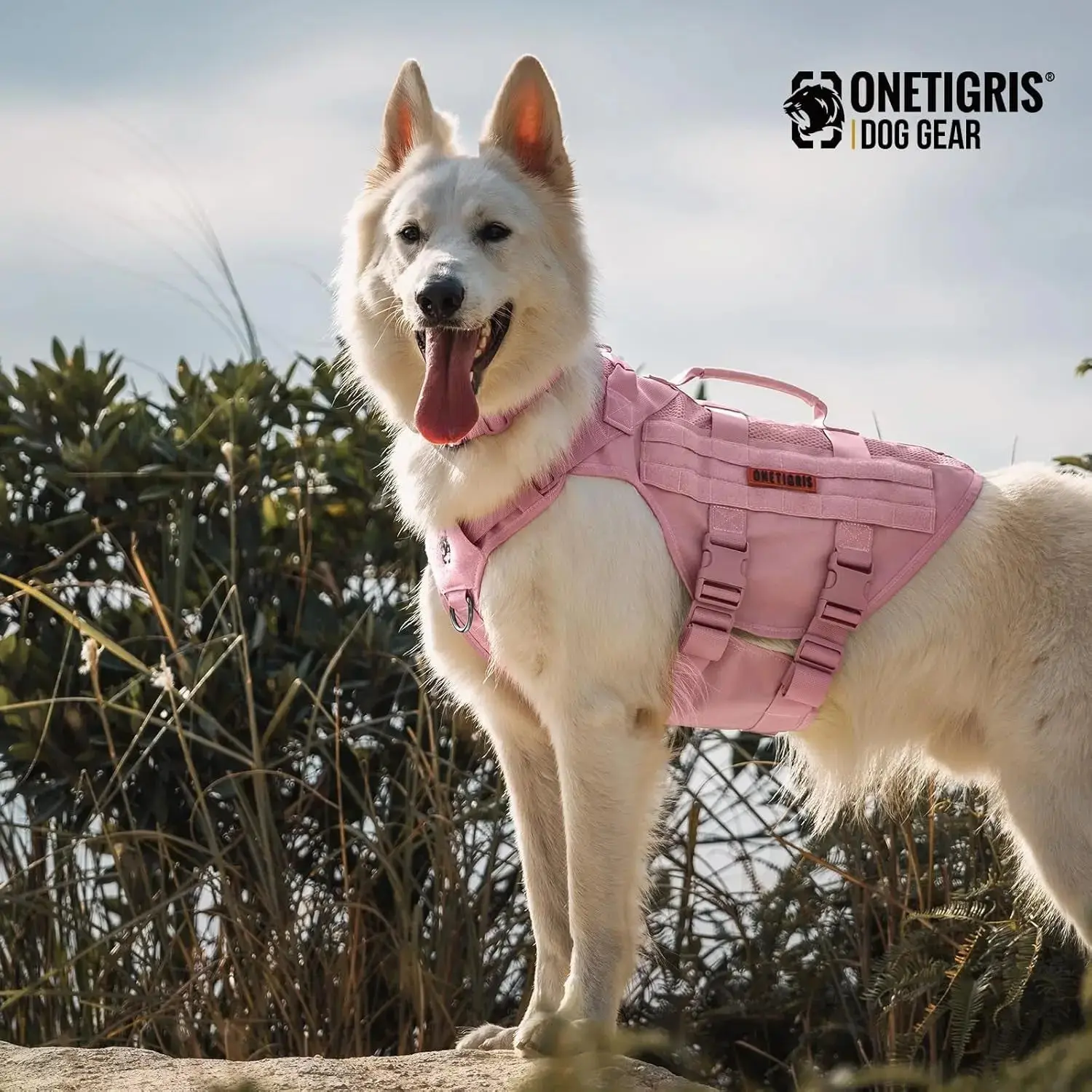 Tactical No-Pull Dog Harness