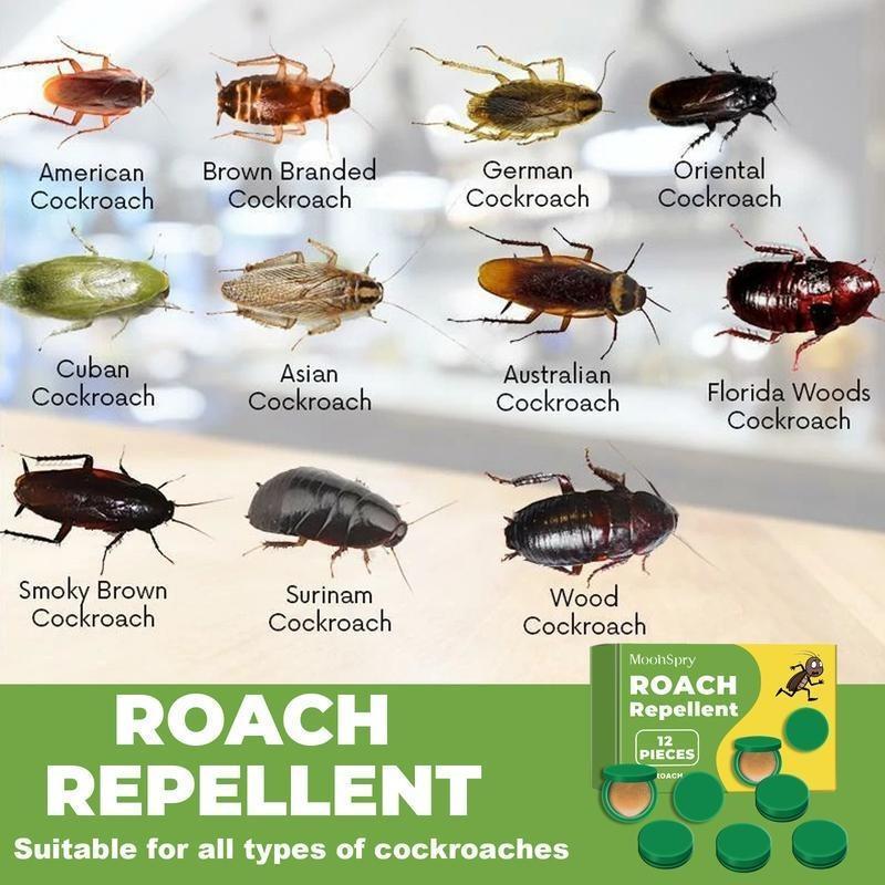 MoonSpry Roach , Powerful Cockroach Killer Bait for Home & Office | Indoor Outdoor Roach Bait | Fast-Acting Roach Killer with Long-Lasting Effect | Child & Pet Safe Pest | Kills Roaches away Insect Repellent Commercial Roach