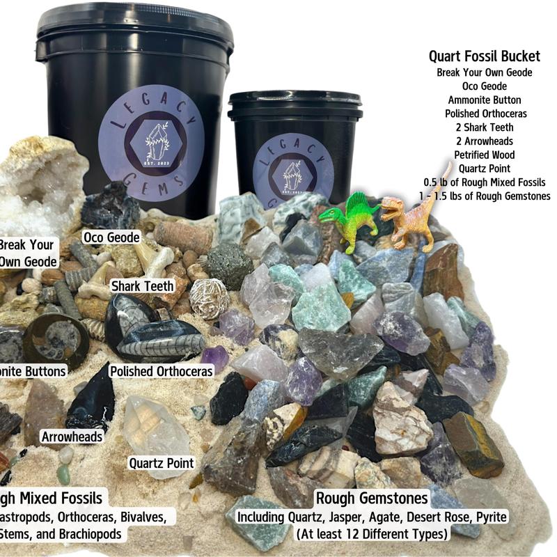 Small Fossil Mining Bucket - Quart Bucket - 4-5 lbs Total - Over 12 Different Types of Fossils and Natural Crystals
