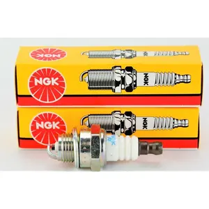 (6703) Spark Plugs Individual Boxed-2 Pack, Copper