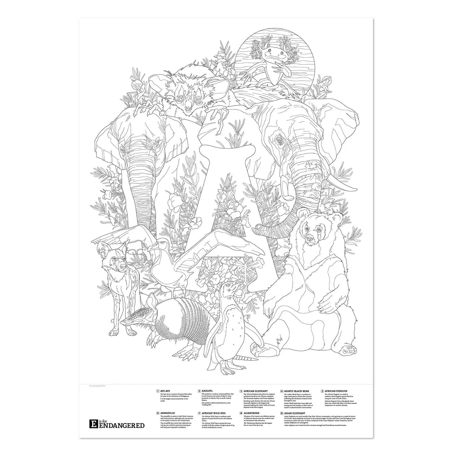 Letter A Big 28"x40" Coloring Poster