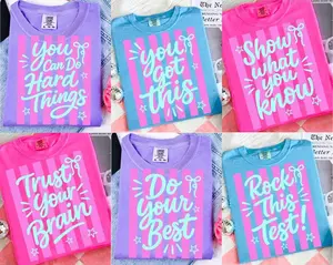 Custom Retro Striped Test Day Shirt Comfort Colors, You Can Do Hard Things, Matching State Testing Shirts, Teacher Team Shirts, Cute School Testing Day Tee, Testing Coordinator Shirt