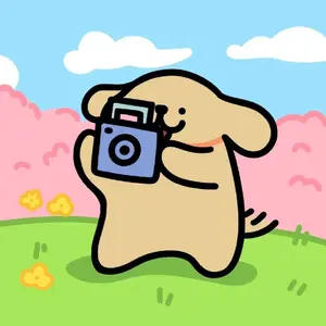 background preload poster image 