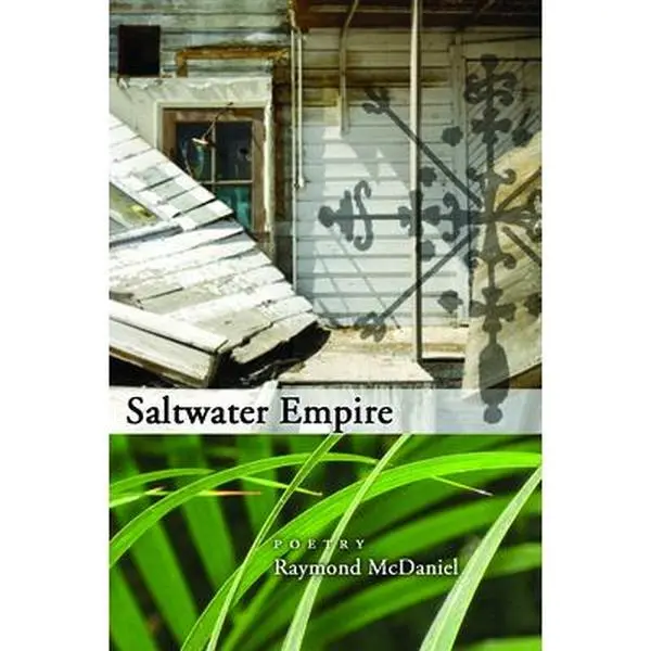 USED-Saltwater Empire by McDaniel, Raymond (Paperback)