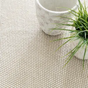 Sonoma Ivory Handwoven Performance Rug 10x14