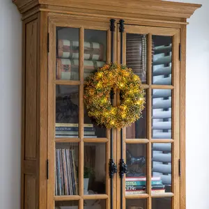 18" Pre-Lit Autumn Boxwood Artificial Fall Wreath with 25 Warm White LED Lights