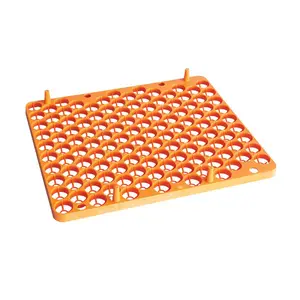 Egg Setter Tray - Quail - 129 Eggs - Compact 129-Egg Tray for Safe Quail Incubation