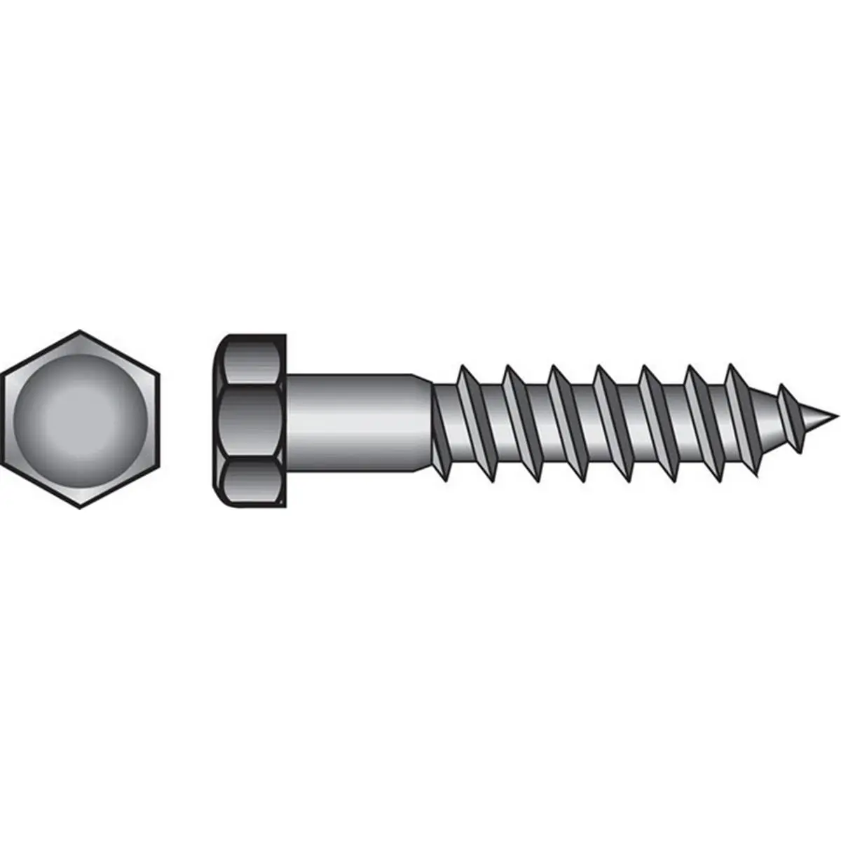 212 MAIN Stainless Steel Hex Head Lag Screws, 0.25x1.5 in Hardware, 50-Count Box for Sailing & Water Sports Equipment Installation