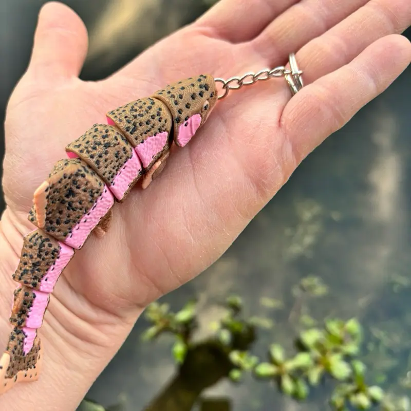 3D Printed Rainbow Trout Keychain, Unisex Fish Theme Trout Shape Accessory, 3.9 in Keychains for Women