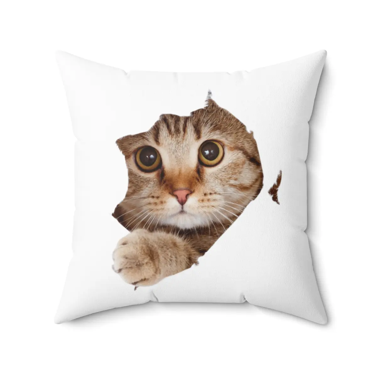 Cute Cat Pillow - Funny Cat Pillow / Meme Cat Pillowcase with pillow