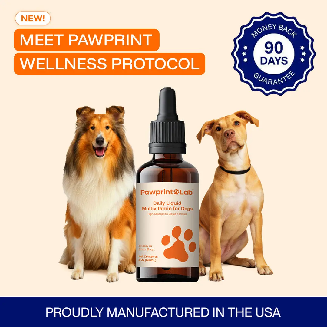 8-in-1 Canine Liquid Vitamin Supplement for Dogs - Joint Care, Enhanced Mobility, Increased Energy, Immune Support, Skin Support, Easy-Mixing Daily Wellness Drops