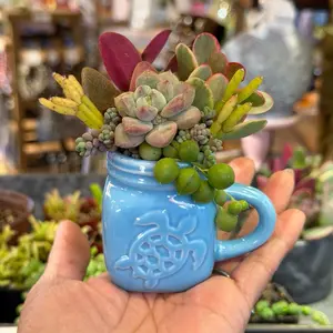 Mini Turtle Mug Succulent Design - Adorable Character Planters for Succulents and Cacti - Perfect for Home Decor and Gift Giving