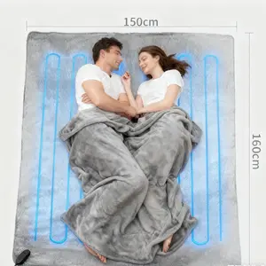 Car Heated Blanket, Universal Model, Polyester Fiber, 12V/24v Operation Voltage, Cigarette Lighter Plug Power Mode, No Battery Needed