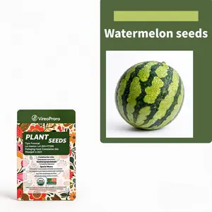 100 PCS Watermelon Seeds, Lazy Man's Watermelon, for Planting Heirloom and Non GMO, Seeded Watermelon, Nutritious, Can be Replanted Every Year