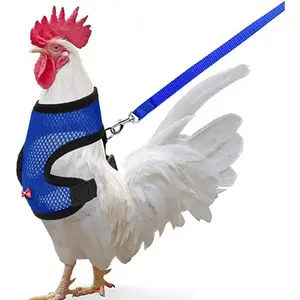 Chicken Harness (Medium, Blue) with Leash, Breathable, Adjustable, Comfortable for Chickens, Ducks, Geese, and Small Pets