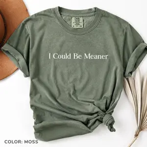 Comfort Colors I Could Be Meaner TShirt, Sarcastic T-Shirt, Funny Humor Tee, Sarcasm TShirt, Funny Quote T-Shirt - TrendWear USA