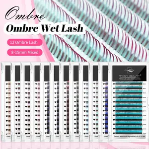 Winky Beauty Newly Designed Ombre Colored Wet Eyelash Extension 0.07mm 12 Colors Mixd Naturally Cosplay Premade Wet Lashes C/D