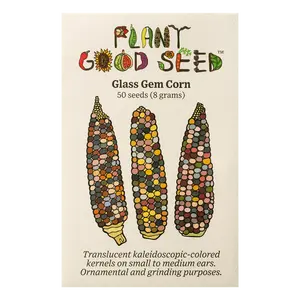 Glass Gem Corn Seeds for Planting: Rainbow Translucent Transparent Organic Non-GMO Heirloom - 50 Seed Packet, Bulk By the Pound
