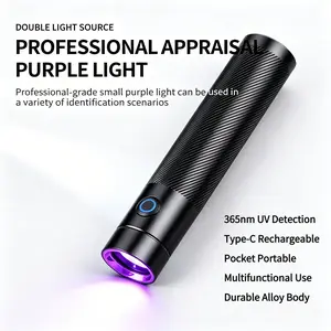 Professional UV Light Pen 365nm Laser, Pocket Portable Type-C Charging, Alloy Body, Anti-Counterfeit, Pet Stain Detection, Leak Detector