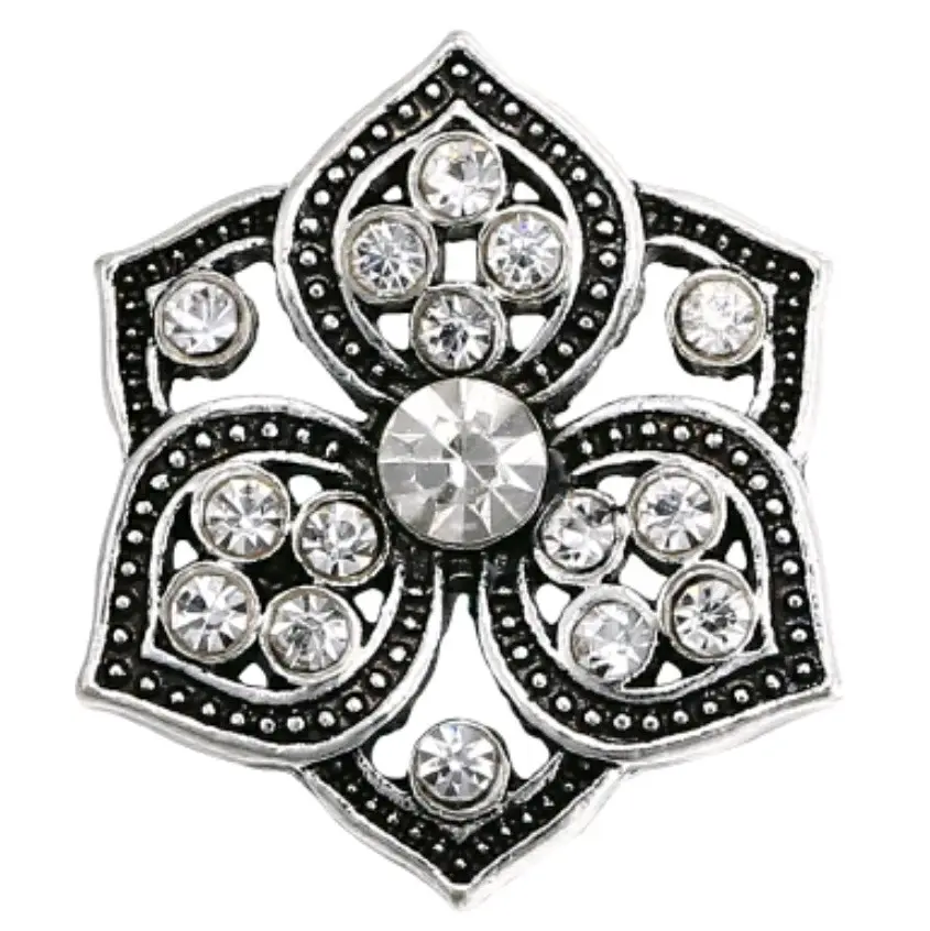 Snap Charms