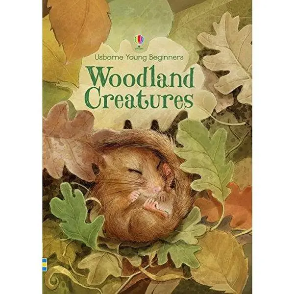Used Hardcover Preschool Learning Picture Book - Woodland Creatures (Usborne Young Beginners) by Emily Bone, Illustrated English Text for Kindergarten & Preschool Targeted Toddlers