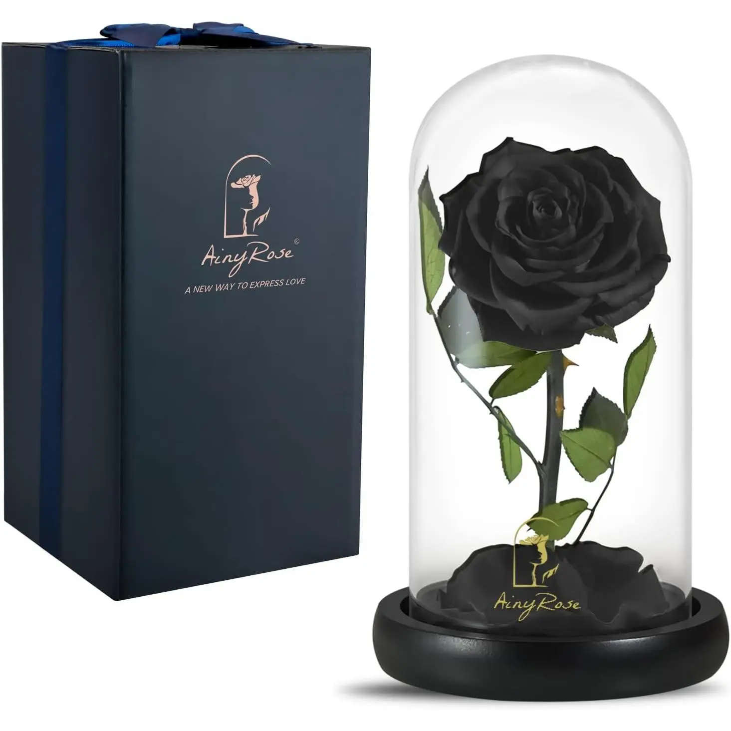 Forever Preserved Real Black Rose Flower Birthday  for Mom Women,Valentines Eternal Flower in Glass Gifts for Mothers Day Christmas Anniversary Birthday (Black)