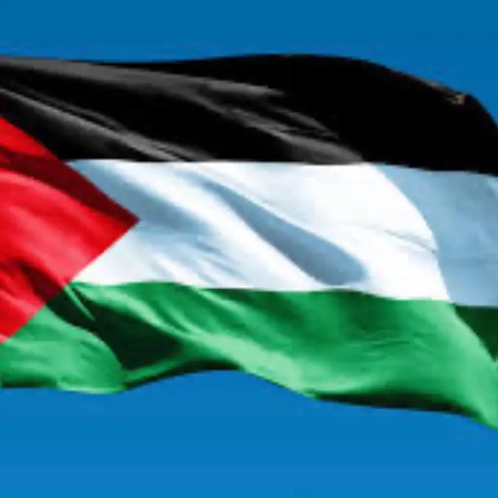 Palestine flag / علم فلسطين
