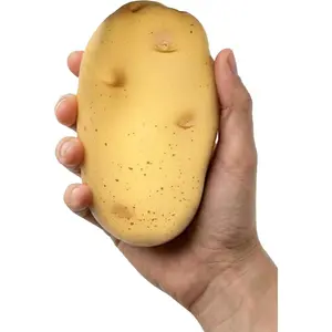 Potato Squishy Toys – Soft Squeeze Toys for Adults – Realistic Fake Food Stress Ball, a Funny Gift Idea for Home or Office