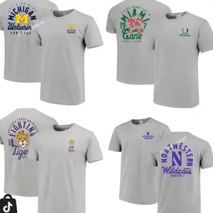 [Sale off 50%] Custom University Graphic Mascot Overlay All Team 2 Side Grey COLOR T-shirt, Vintage Graphic Tee, Sport Fan Gift Shirt, Men's Oversized Athletic T-shirt, College Shirt, Men's Regular Fit Graphic T-shirt, Football Tee S5S