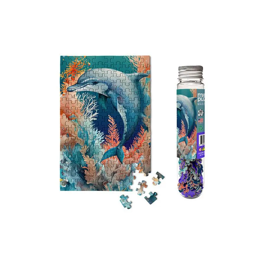 Dolphin - Marine Life