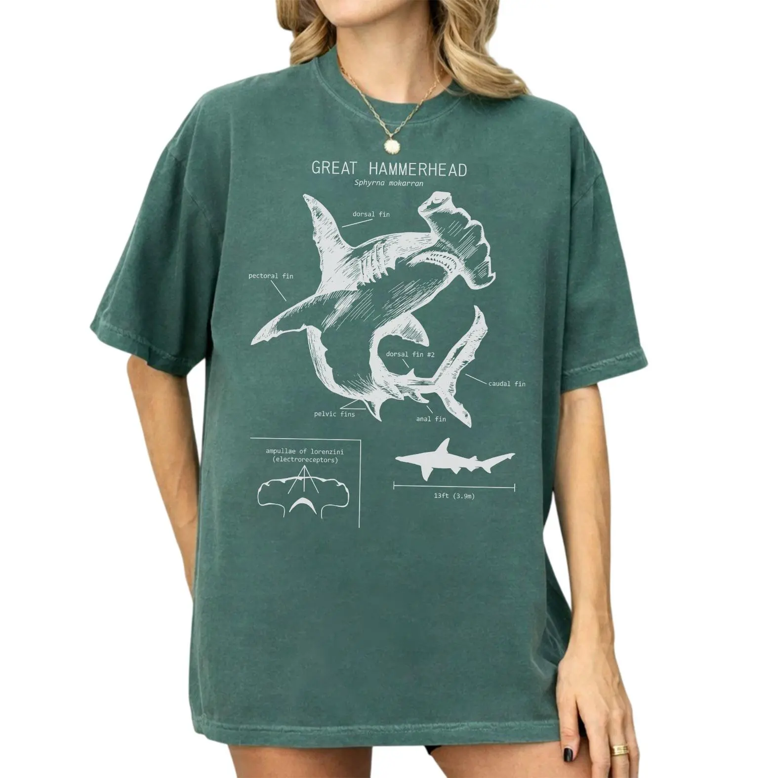 Comfort Colors Great Hammerhead Shark Shirt, Vintage Hammerhead Anatomy Graphic Tee, Ocean Life Shirt