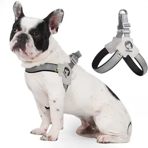 1-piece Pet Expandable Y-Shape Dog Chest Harness with Reflective Material, Anti-Escape and Anti-Burst, Breathable and Non-Choking for Dogs