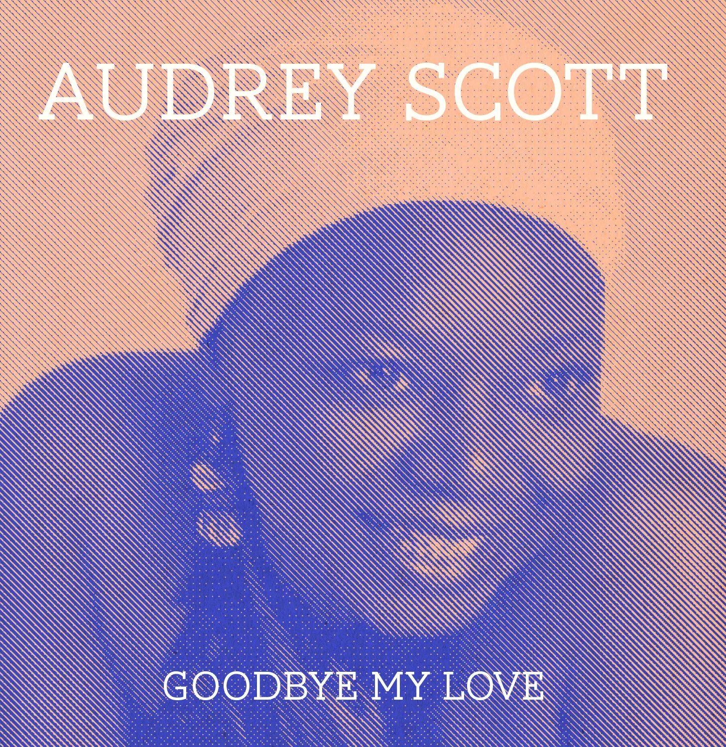Audrey Scott - Goodbye My Love  [COMPACT DISC - CD]
