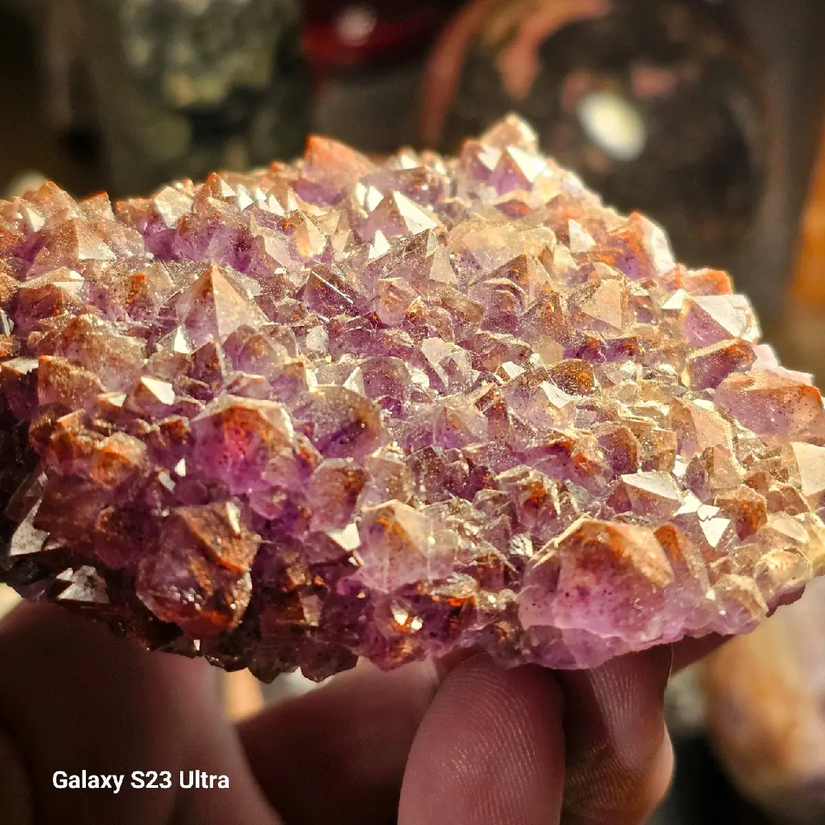 Chocolate Thunder Bay Amethyst Specimen
