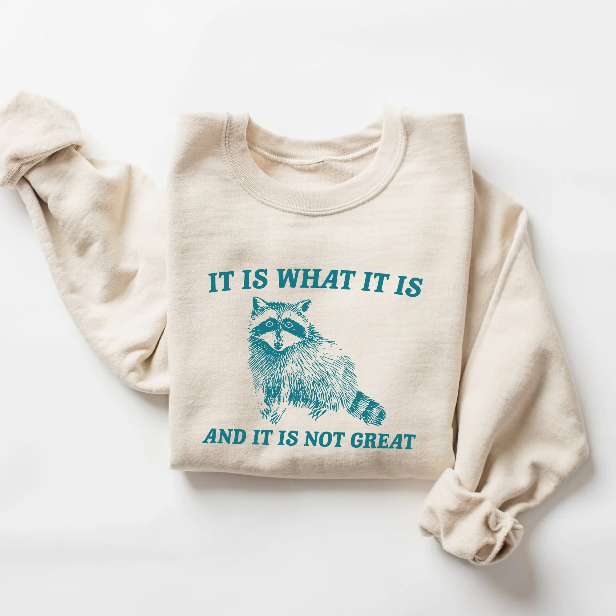 It Is What It Is And It Is Not Great Sweatshirt - Vintage Raccoon Design, Cotton Blend, Long Sleeve, Casual Style, Funny and Thoughtful Message