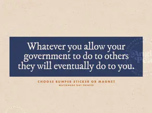 car magnet, political magnet, government quote, activism magnet, bumper sticker alternative, social justice, protest accessory, awareness decal